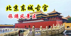 抱操美女在线播放中国北京-东城古宫旅游风景区
